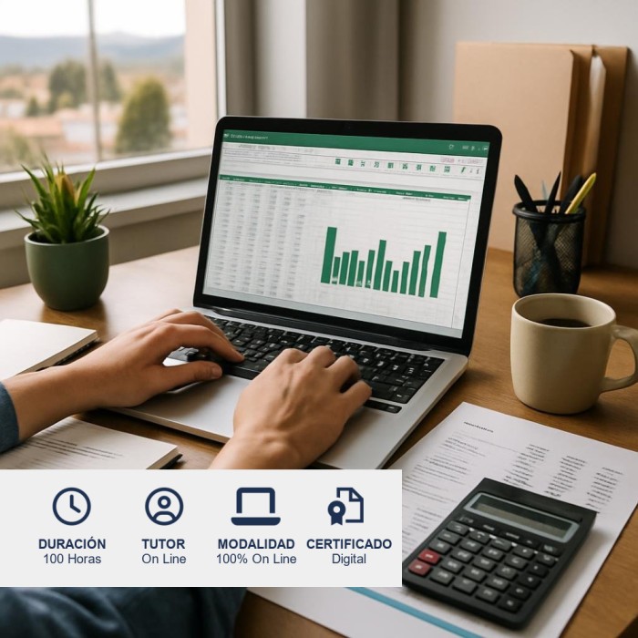 Curso de Excel para la Gestión Administrativa